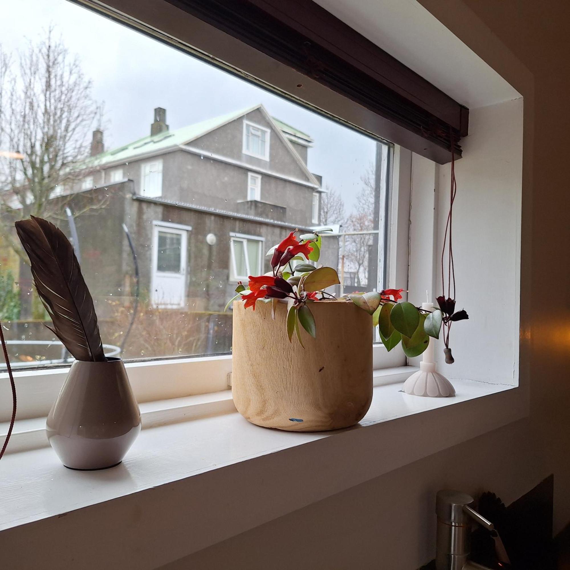 Central Reykjavik - Garden Cottage 外观 照片